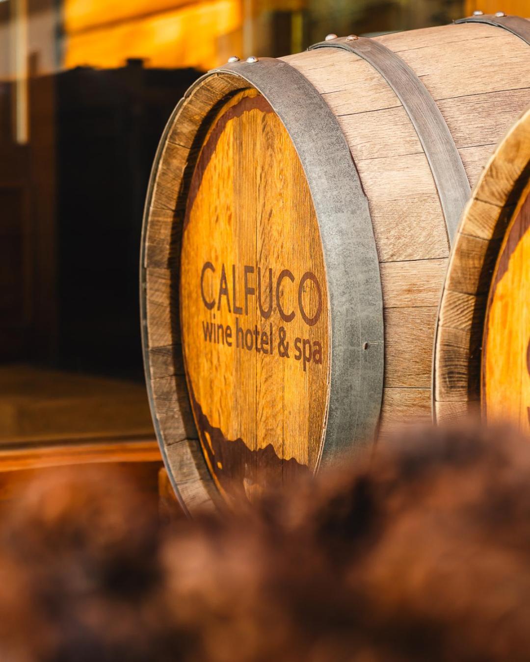 Calfuco Wine Hotel & Spa Puerto Manzano Екстериор снимка